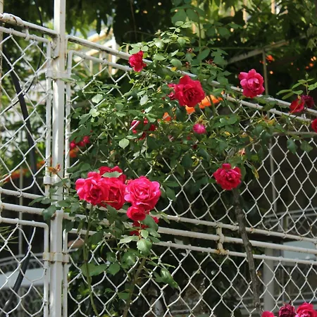 By The Sea Moscenicka Draga, Opatija - 7906 Mošćenička Draga