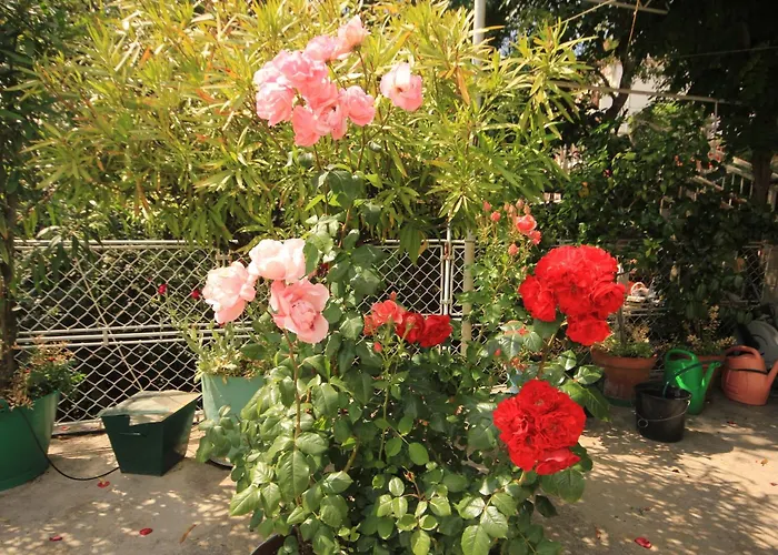 By The Sea Moscenicka Draga, Opatija - 7906 *